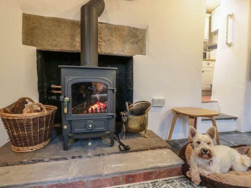 Happy Cow, Coleford