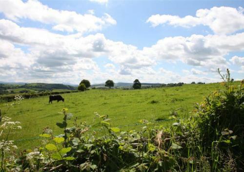 Apartamento Bryn Eithin Bach