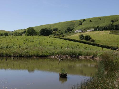Maesgwyn, Knighton