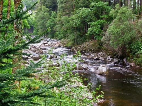 Bryn Cemlyn