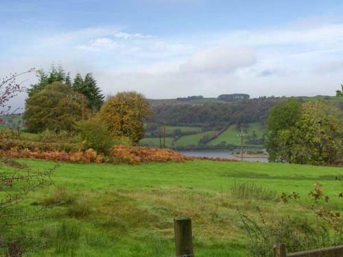 Nantllyn