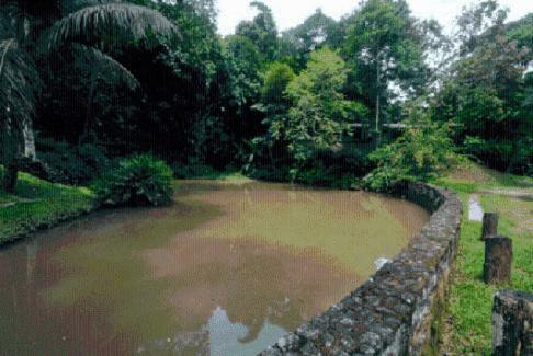Posada Pousada A Marca Do Fara�