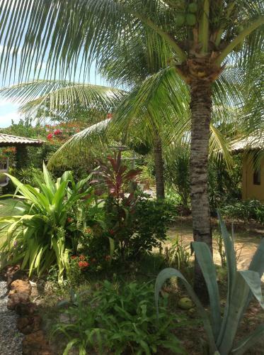 Hostal Pousada Jardim Cambui