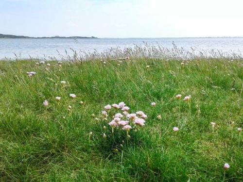 Shoreside