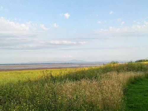 Shoreside