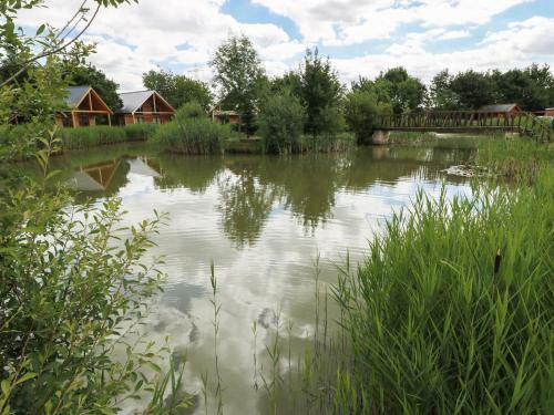 Lily-pad Lodge