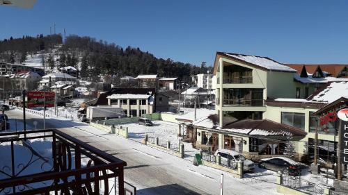 2 Room Apartment In Bakuriani