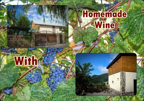Hostal Guest House On Meskheti
