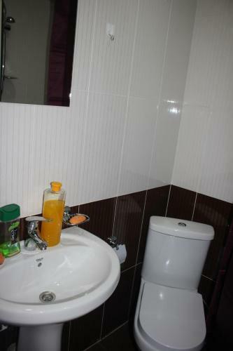 Riverside Hostel Borjomi