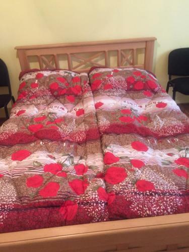 Hostal Guesthouse Borjomi Central Park