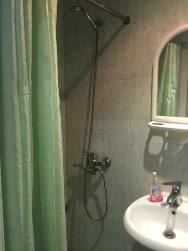 Hostal Guesthouse Borjomi Central Park