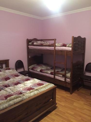 Hostal Guesthouse Borjomi Central Park