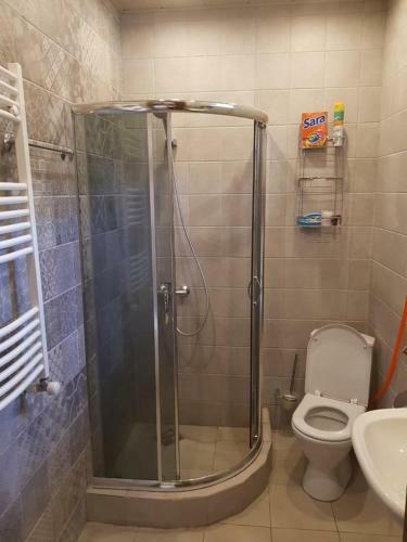 Villa Dream House Bakuriani