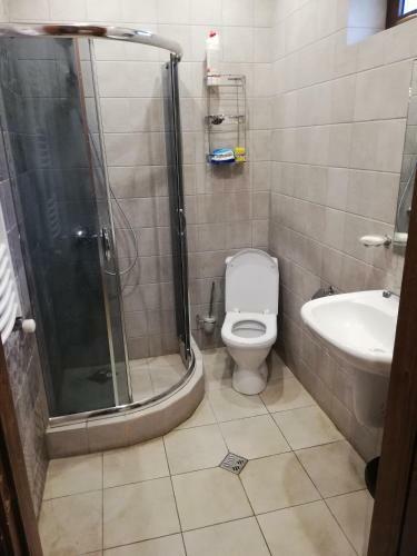 Villa Dream House Bakuriani
