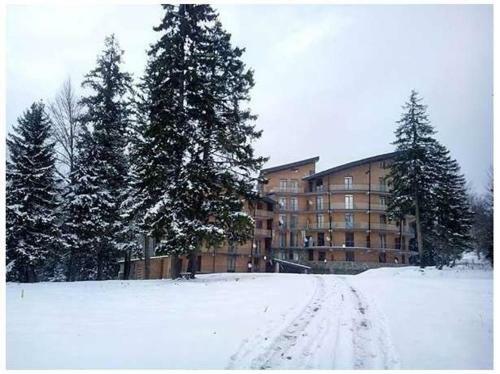 Apartamento Appartment In Bakuriani