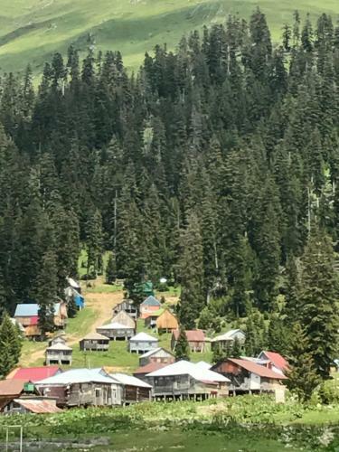 Gornii Kurort Bakhmaro