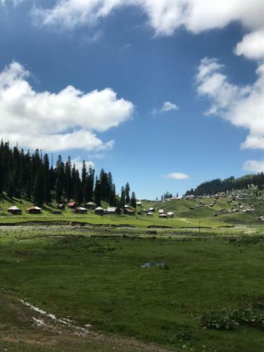 Gornii Kurort Bakhmaro