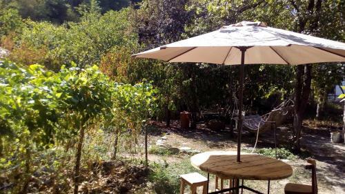 Hostal Borjomi Makvala's Guest House