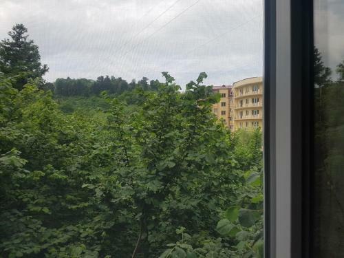 Hostal Cozy Guest House In Batumi