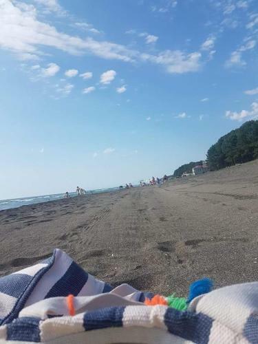 Hostal Seaside Shekvetili