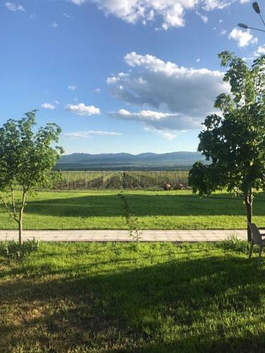 Barnavelli Hotel And Wine Cellar