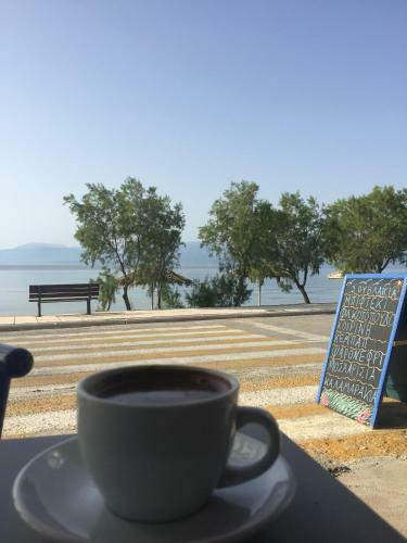 Apartamentos Hotel Sea