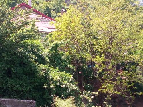 Agroturismo Guest House Waterfall