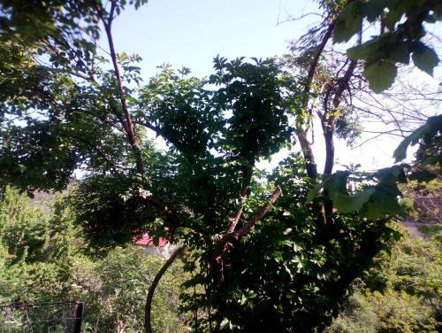 Agroturismo Guest House Waterfall