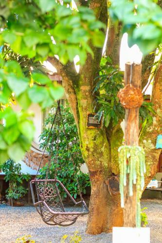 Albergue Jardim Da Nova Era