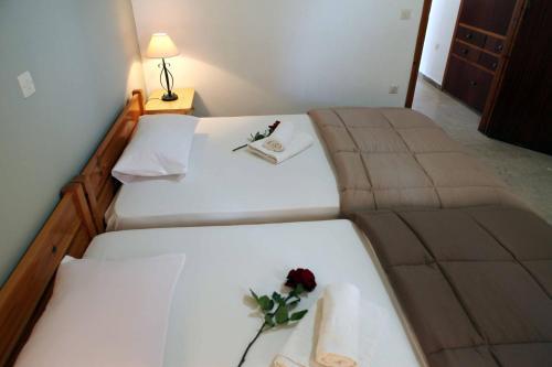 Sofia Apartments - Kantia