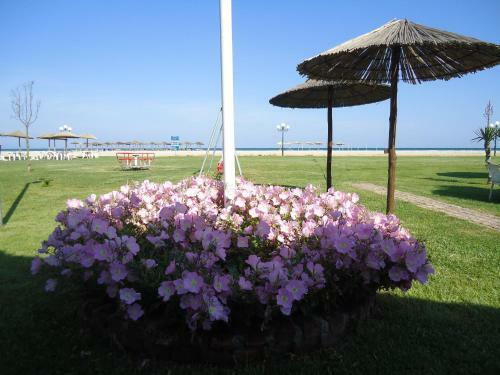 Hotel Lidra