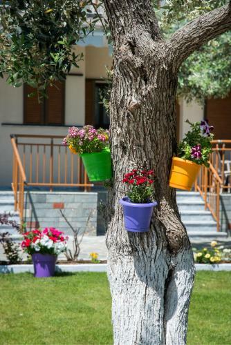 Hostal Holiday Villa Thassos