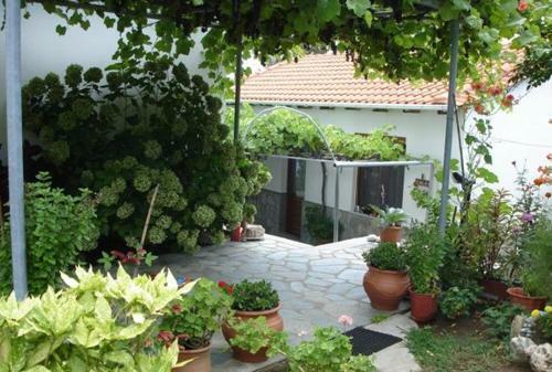 Hostal Pension Marina