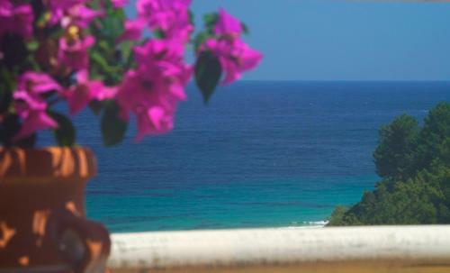 Agorastos Hotel