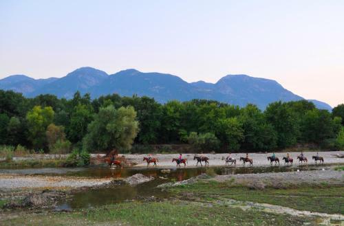 Alexakis Hotel & Spa