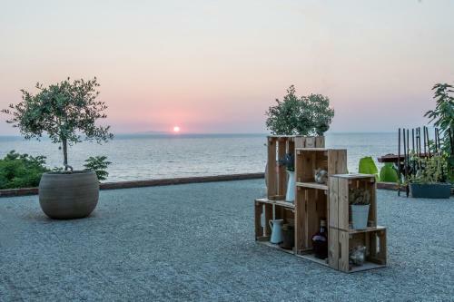 Aparthotel Hotel Agios Thomas
