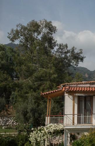 Hostal Akti Studios