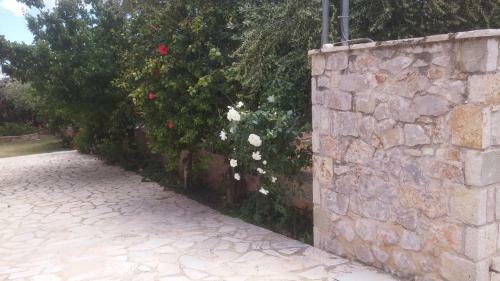 Aparthotel Hotel Patelis