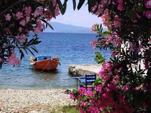 Apartamento Tania Maisonette Zakros