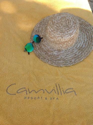 Hotel Camvillia Resort Messinia
