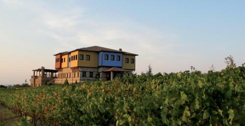 Hotel Estate Kalaitzis