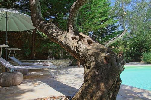 Villa Kitrini Luxury Cottage