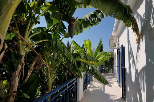 Villa Navarino