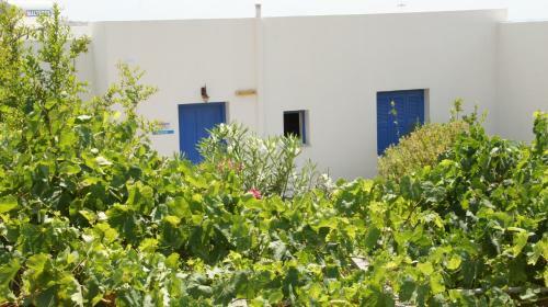 Pleiades Apartments