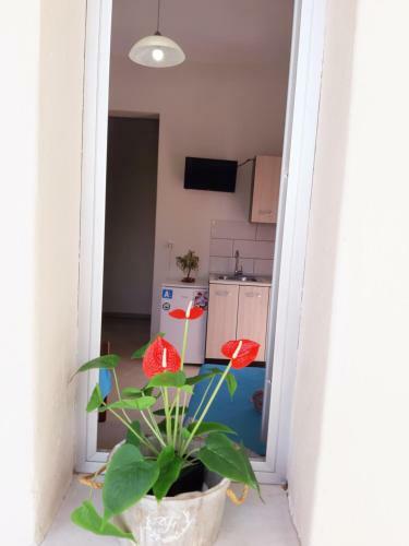 Apartamento Sofia's Studios