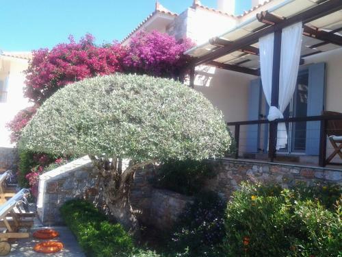 Villa Elies Houses