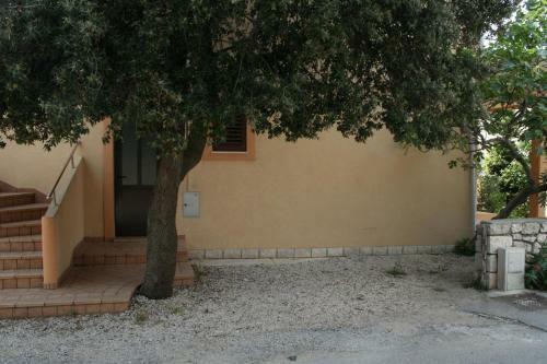 Apartment Mandre 4095a