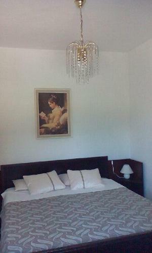 Apartment Tuja