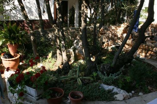 Apartment Mandre 6405e