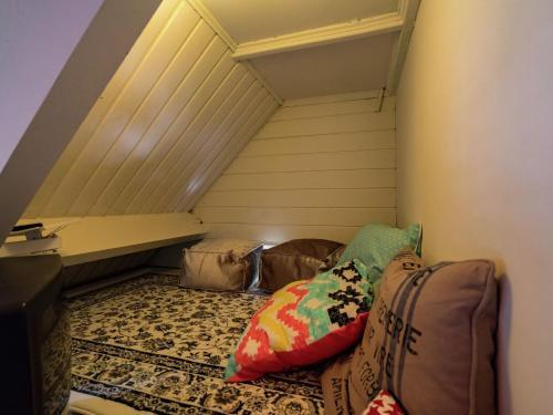 Spacious Villa In Sint Jacobiparochie Near Sea